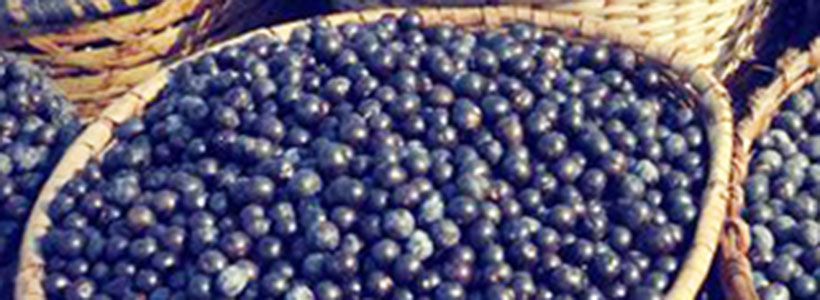 Superfoods! Wat zijn dat nou eigenlijk?!