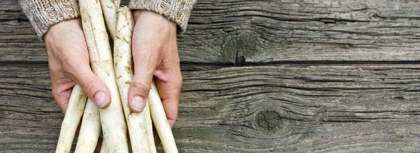 4 gezonde voordelen van asperges